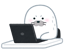 miso